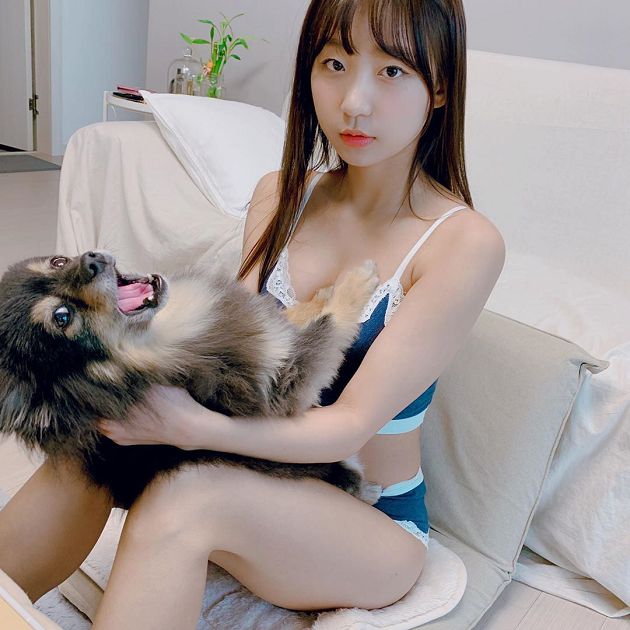 韓國DJ放送福利！狗狗一抓「衣領往下掉」 網：這樣太危險