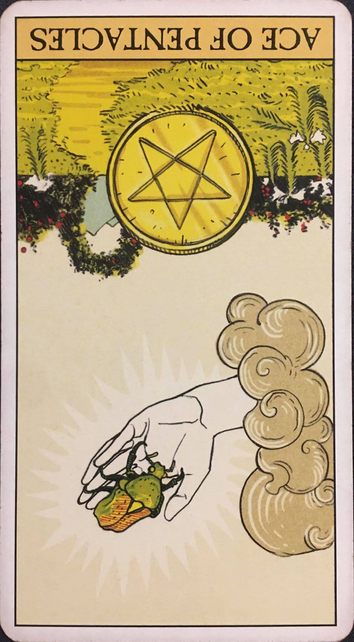 每週占卜 / 花錢如流水?選一張牌「測未來三個月財運走向」