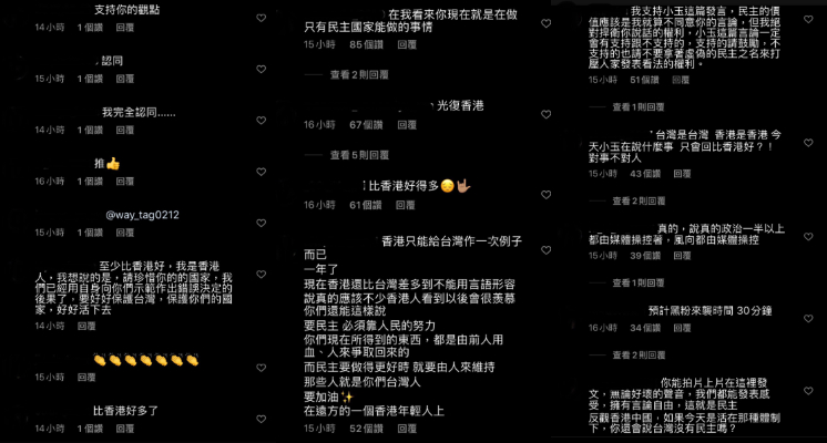 小玉怒轟台灣無民主 「誰拳頭大誰大聲」