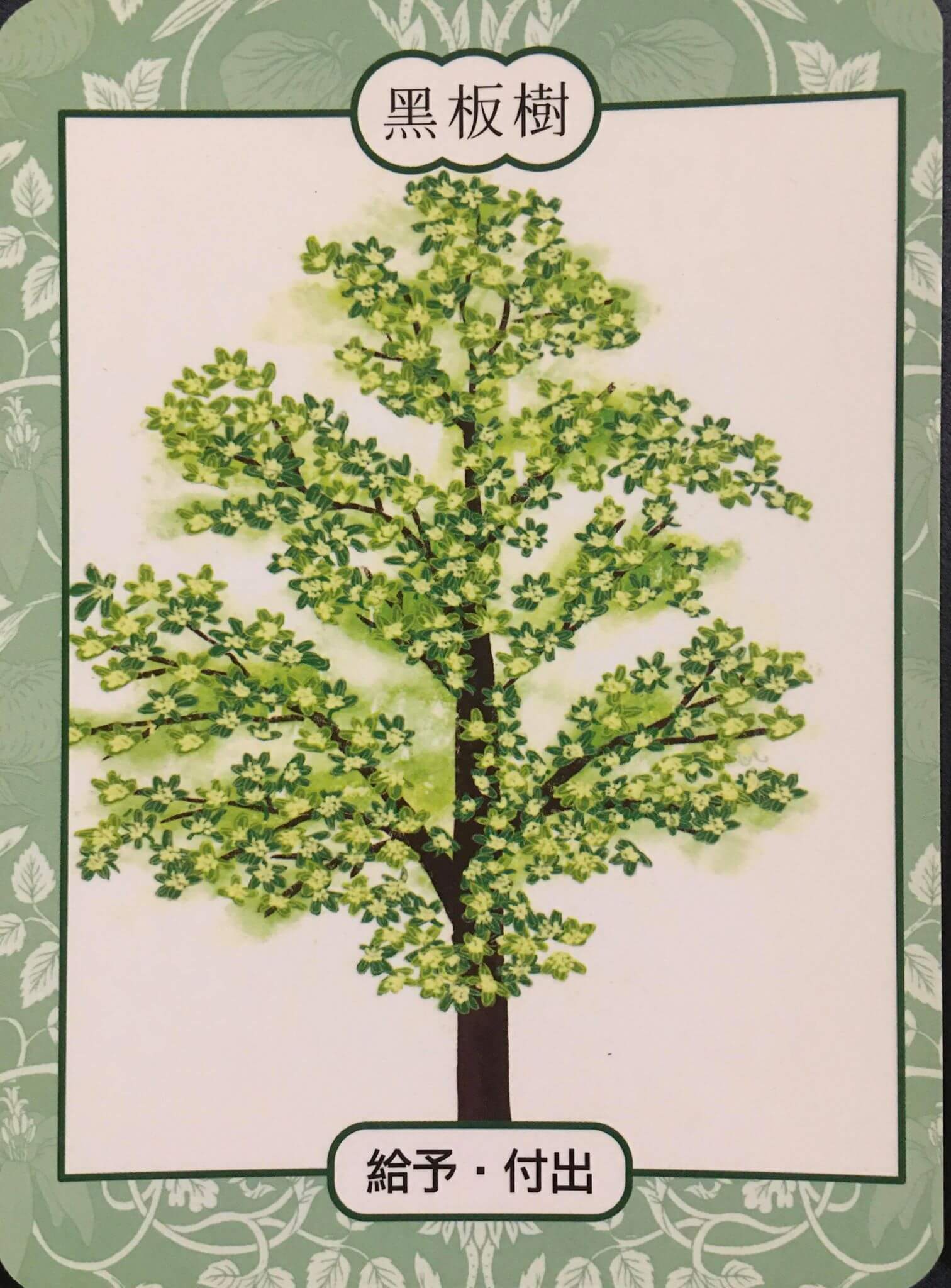 每週占卜 / 直覺選一棵樹 測如何「面對未知的恐懼與壓力」?