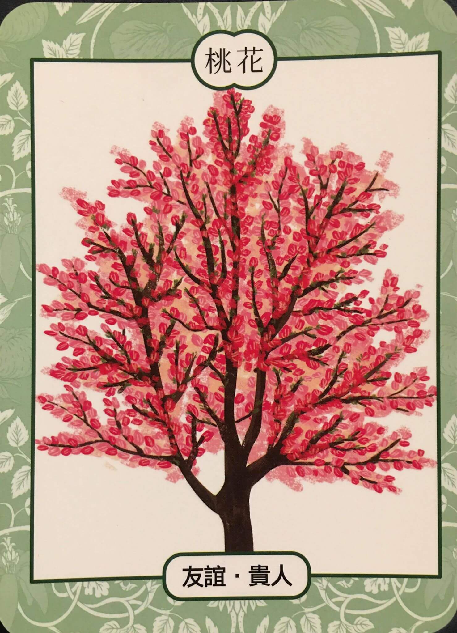 每週占卜 / 直覺選一棵樹 測如何「面對未知的恐懼與壓力」?