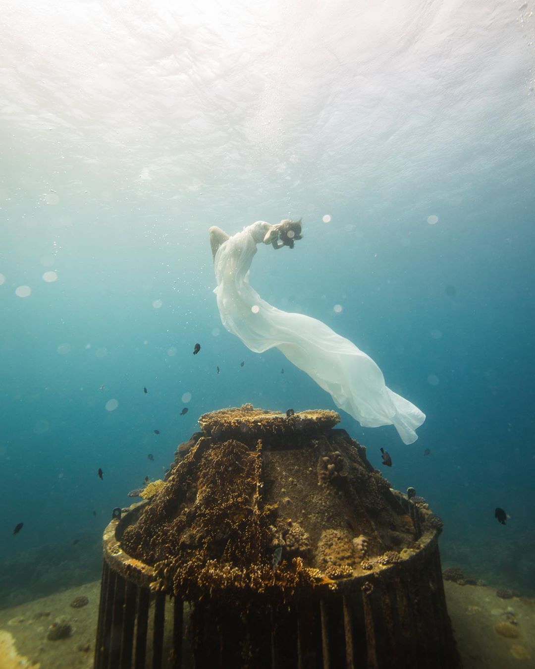 為搏版面狂走光?氣質女星辣曬「S曲線」超背殺 「衣服不穿好」被抓包!