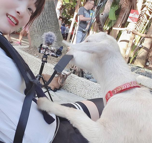 尷尬!實況正妹「偷睡賣場床」慘被抓 網批:不良示範