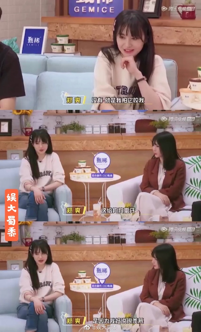 沒常識？鄭爽詢問「想把愛犬牙齒磨一磨」　網氣炸：狗做錯什麼？