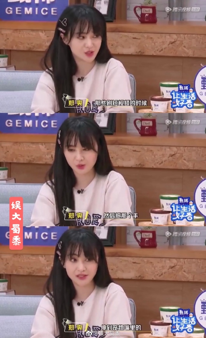 沒常識？鄭爽詢問「想把愛犬牙齒磨一磨」　網氣炸：狗做錯什麼？