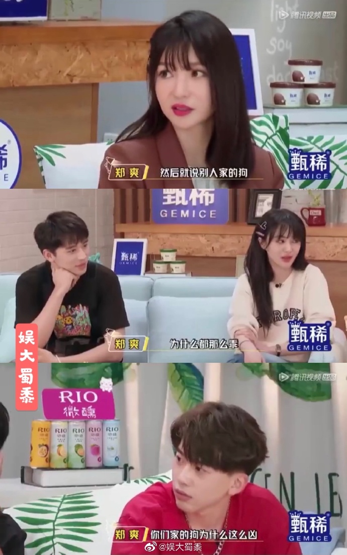 沒常識？鄭爽詢問「想把愛犬牙齒磨一磨」　網氣炸：狗做錯什麼？