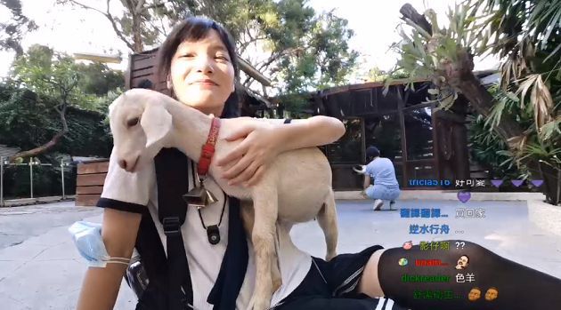 扯!實況正妹「放送車禍」真實反應惹議 網:駕照雞腿換的?