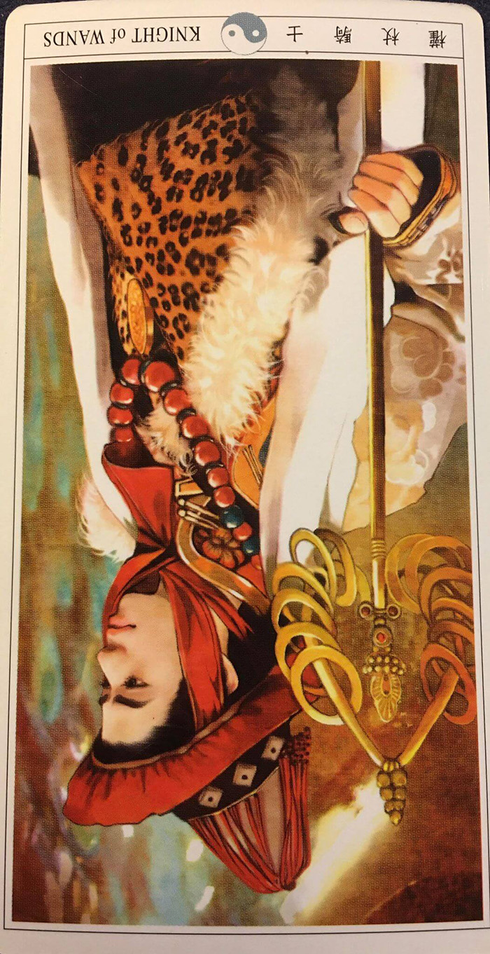 每週占卜 / 直覺選一張牌 測出「面對水逆的求生秘笈」!