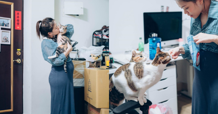 「台灣養寒帶狗是虐待」！新片遭網酸 陳彥婷反問：你做了什麼？