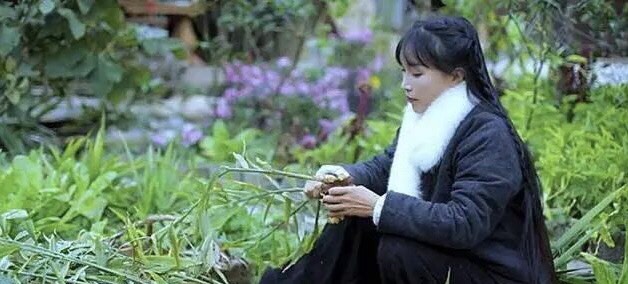 仙女系網紅「李子柒」入期末考試題!家長吵翻:會帶偏孩子價值觀?