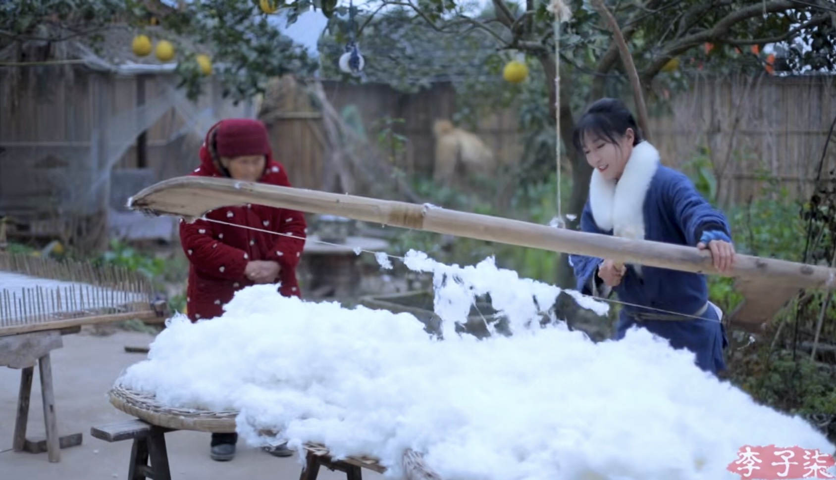 仙女系網紅「李子柒」入期末考試題!家長吵翻:會帶偏孩子價值觀?