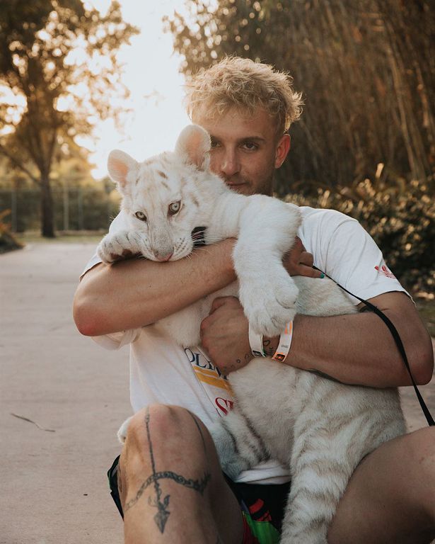 把Dior X Air Jordan 1拿來裝牛奶！「網紅吃麥片」影片曝光：網看歪