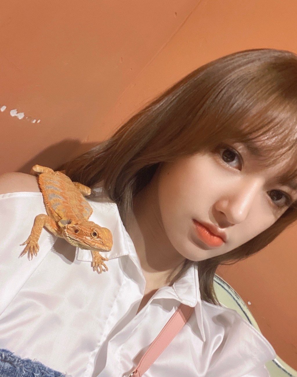 不再回歸「宇宙少女」?程瀟「微博改名」 粉絲失望掀論戰!