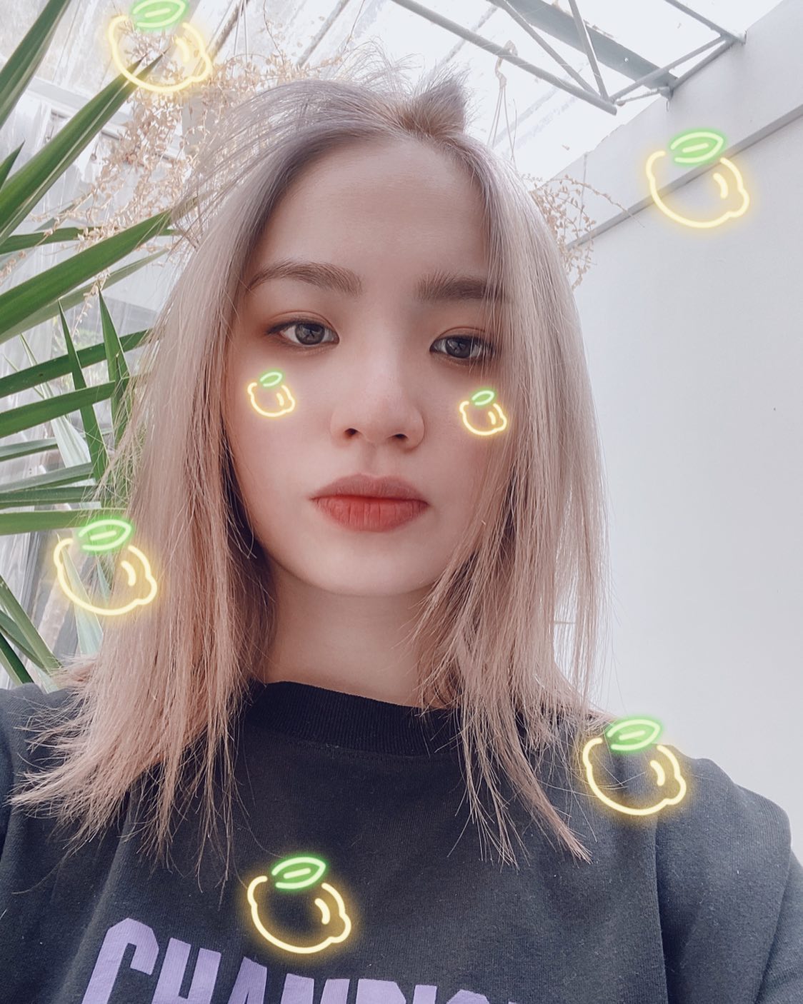 懶人包｜陳芳語 事件總整理