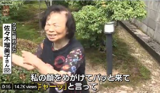 150公分高黑熊突冒家中!撲向82歲老奶奶 「下一秒」直接過肩摔