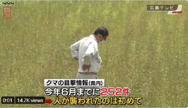 150公分高黑熊突冒家中!撲向82歲老奶奶 「下一秒」直接過肩摔