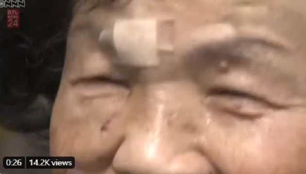 150公分高黑熊突冒家中!撲向82歲老奶奶 「下一秒」直接過肩摔