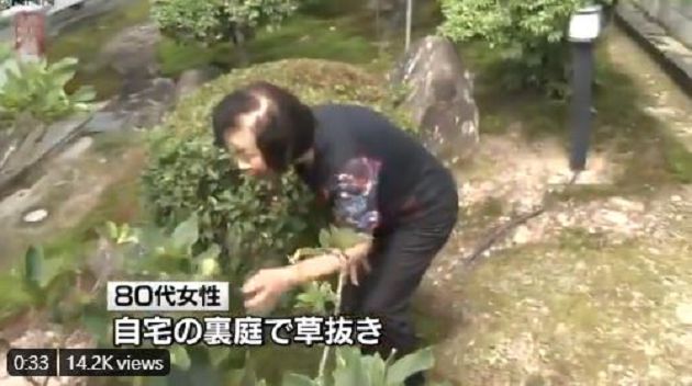 150公分高黑熊突冒家中!撲向82歲老奶奶 「下一秒」直接過肩摔