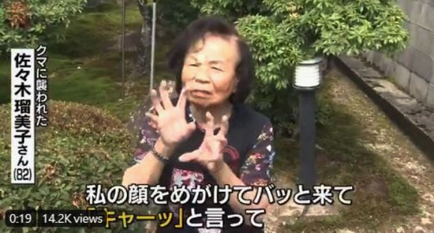 150公分高黑熊突冒家中！撲向82歲老奶奶　「下一秒」直接過肩摔