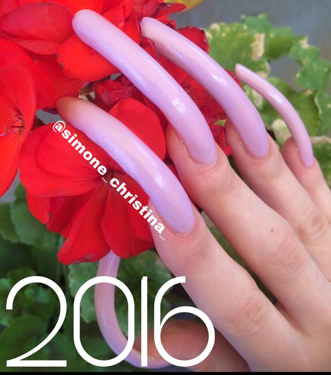 六年都沒剪過!18歲網紅「指甲超過15公分」 網嚇歪:超像巫婆