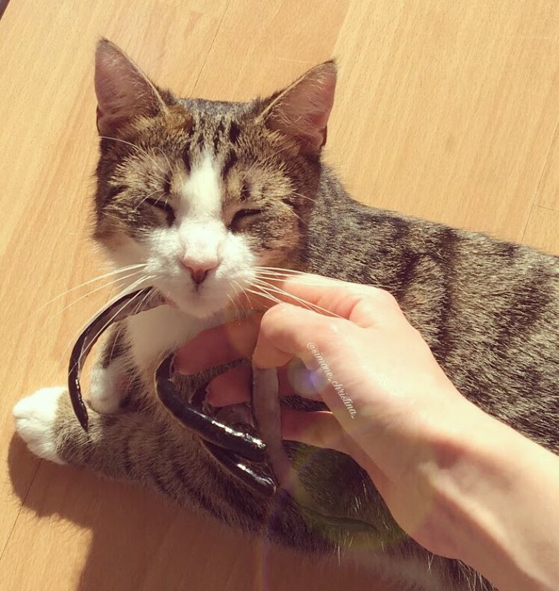 六年都沒剪過!18歲網紅「指甲超過15公分」 網嚇歪:超像巫婆