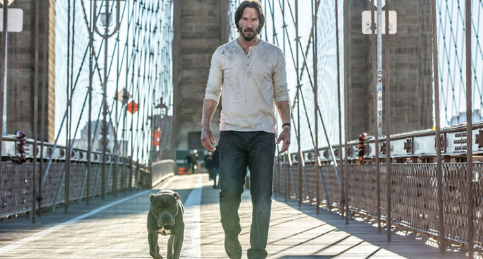 受到新冠肺炎疫情影響，原定在2021年上映的《捍衛任務4》也只能先喊卡，將所有拍攝日程再後延，但影業消息傳出，最晚大家就可以在2022年5月看到「基哥」回歸啦！另一個更棒的消息是，捍衛任務確定還要出到第5集！