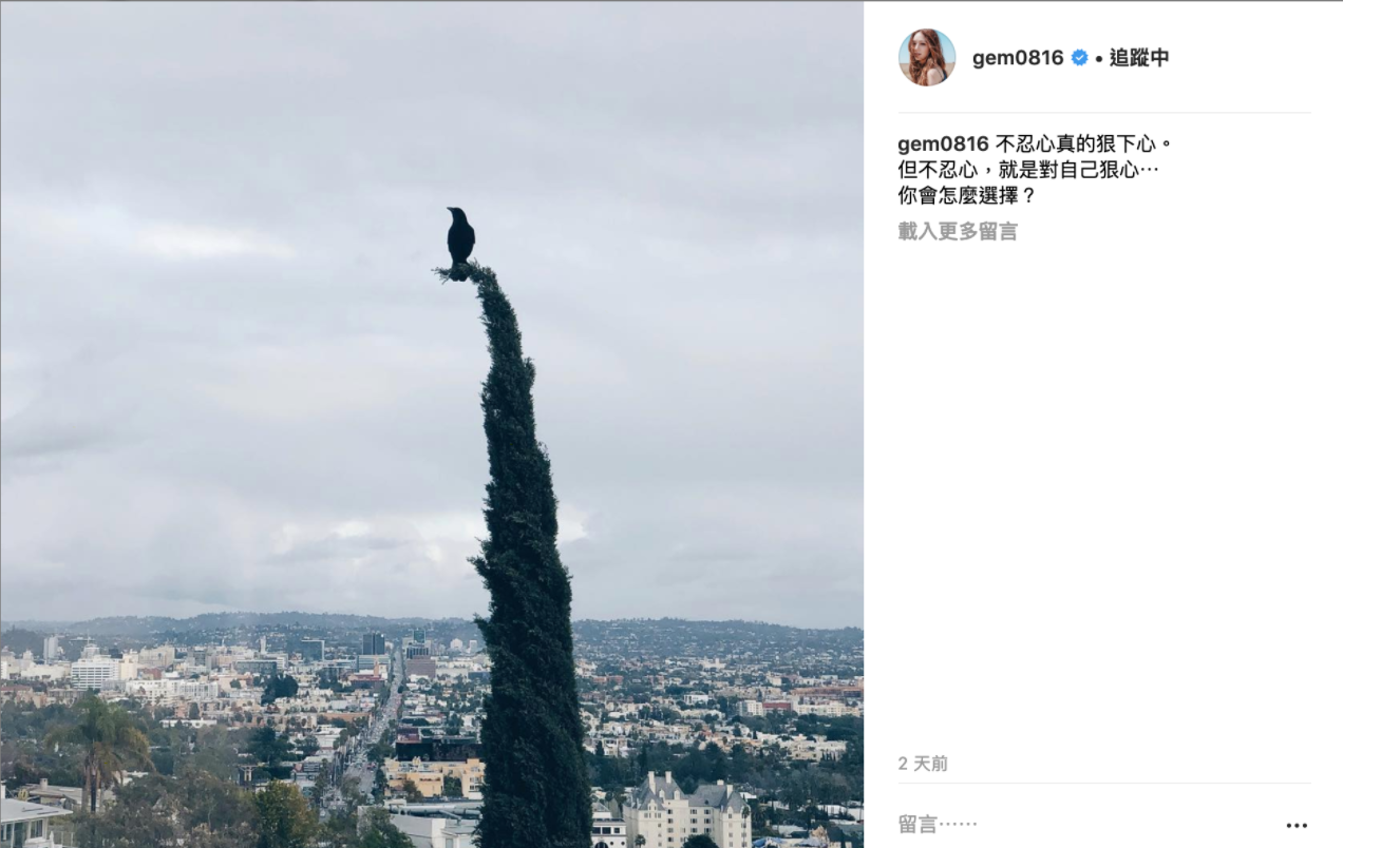 Top 1 千字文控訴「蜂鳥音樂」 替背黑鍋10年遭欺壓  鄧紫棋不忍了：法院見！