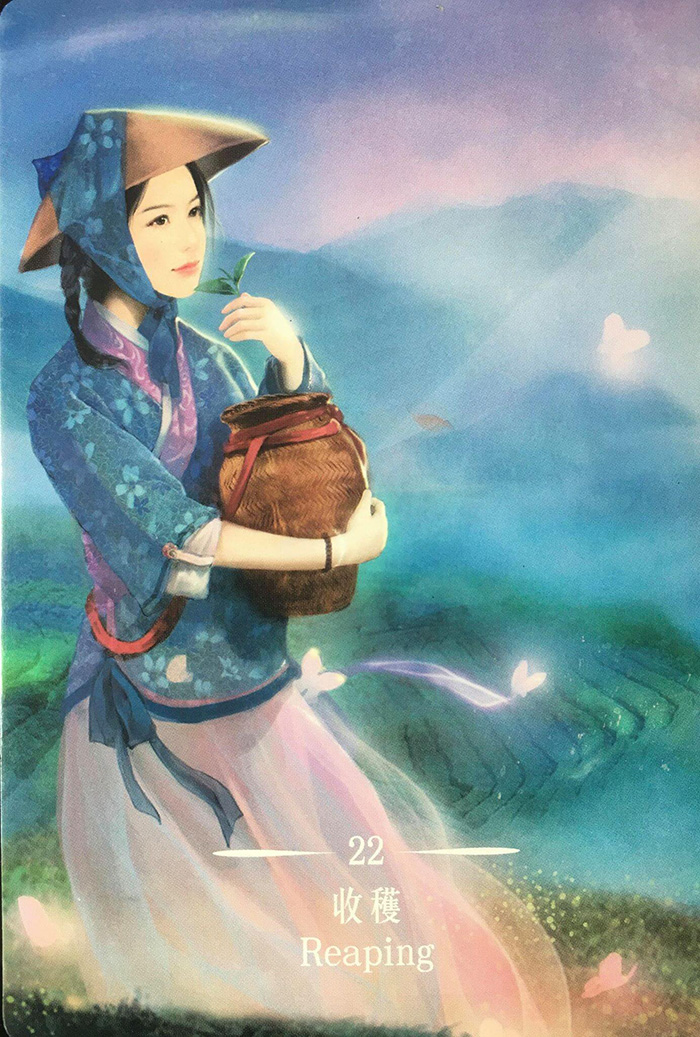 每週占卜/窺探潛意識!抽一張牌 測下半年「如何恢復身心靈平衡」?